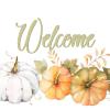 fall orange and white pumpkins
