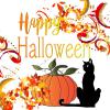 Black Cat and Pumpkin

